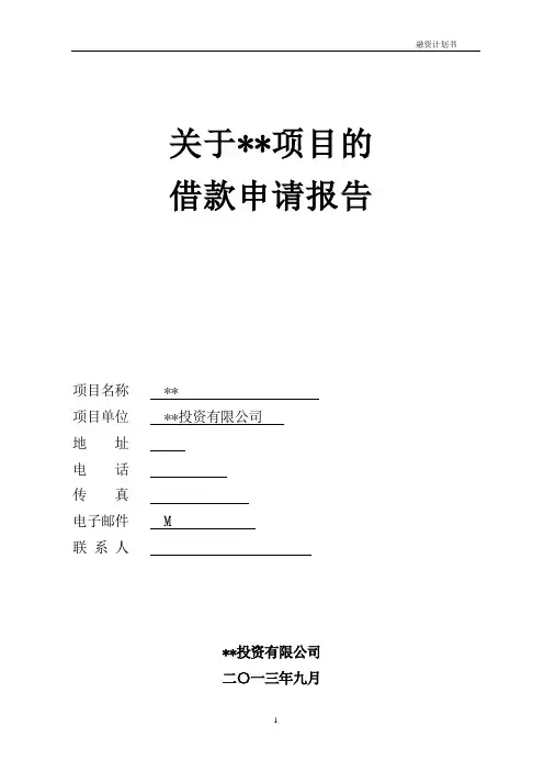 项目借款商业计划书