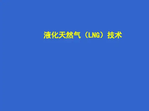 液化天然气LNG技术