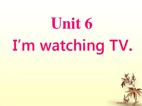 新目标人教版七年级下册英语课件  Unit_6_I'm_watching_TV公开课课件