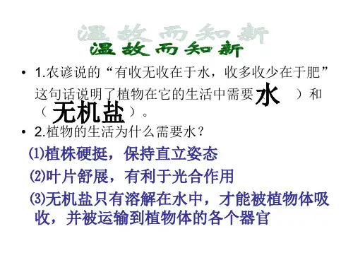 水分进入植物体内的途径_