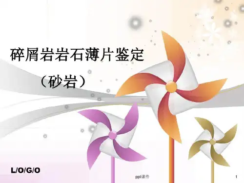 碎屑岩岩石薄片鉴定--ppt课件教学文案43页PPT