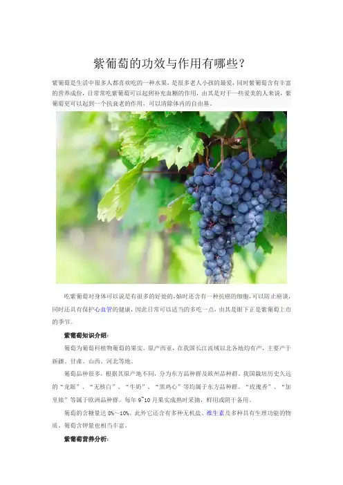 紫葡萄的功效与作用有哪些？