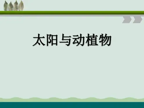 《太阳与动植物》课件2