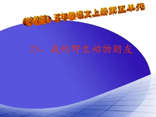 沪教版五年级语文上册:我的野生动物朋友1课件