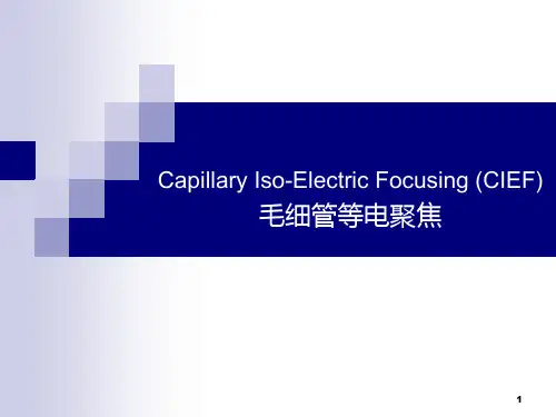 06毛细管等电聚焦ppt课件