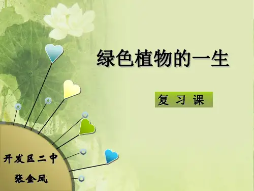 被子植物的一生复习ppt
