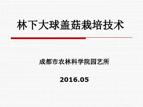 大球盖菇栽培技术
