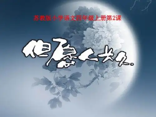 但愿人长久第二课时