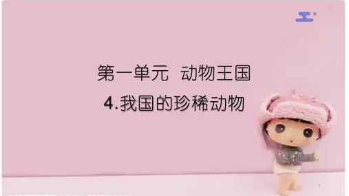 四年级上册科学课件5.《我国的珍稀动物》青岛版   共12张