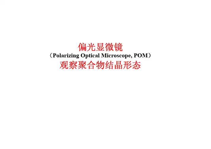 偏光显微镜观察聚合物结晶形态PPT041010 [兼容模式]