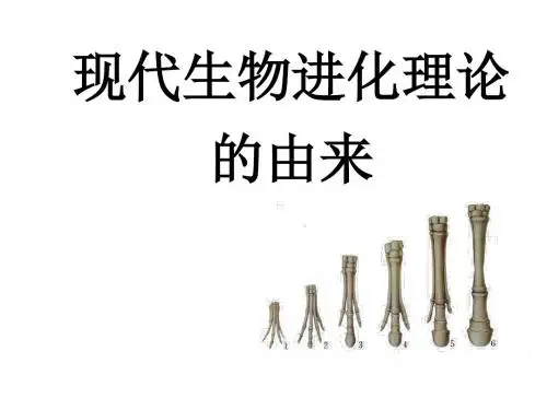 高一生物现代生物进化理论的由来1