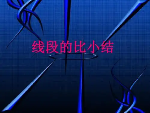 线段的比小结