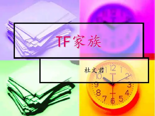 TF家族幻灯片(1)