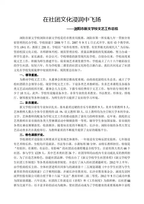 新文学校文艺工作总结