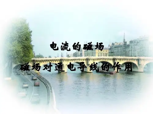 环形电流的磁场方向