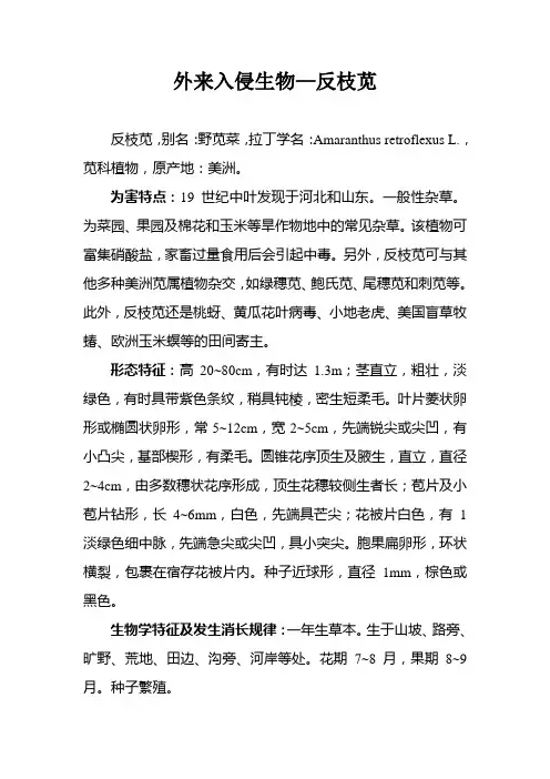 外来入侵生物—反枝苋