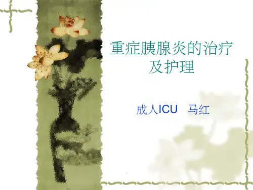 重症胰腺炎的治疗及护理ppt课件