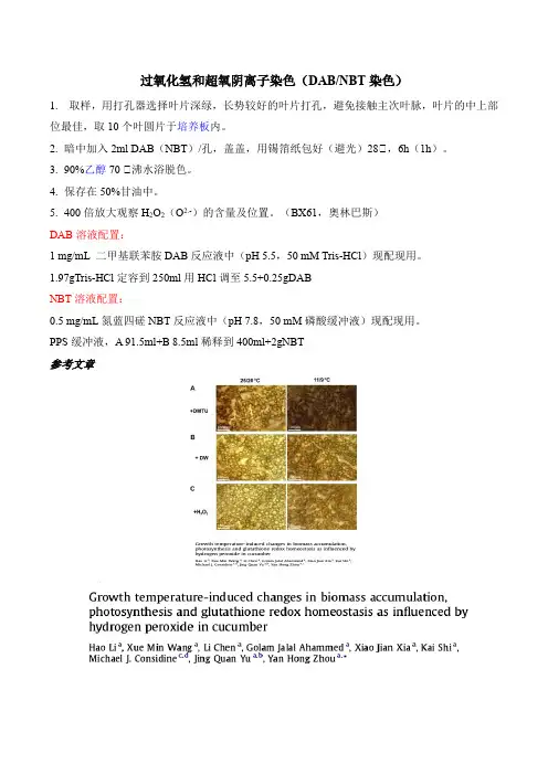 1.过氧化氢和超氧阴离子染色(DAB和NBT染色)