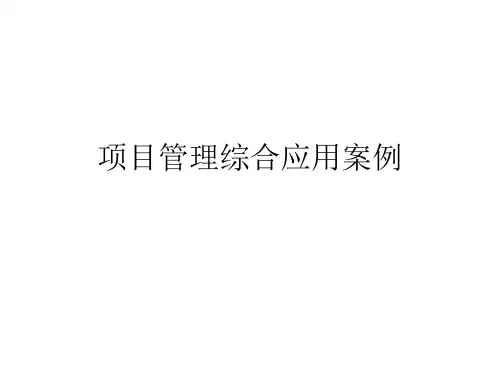 项目管理综合应用案例.ppt