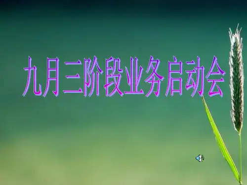 920业务启动