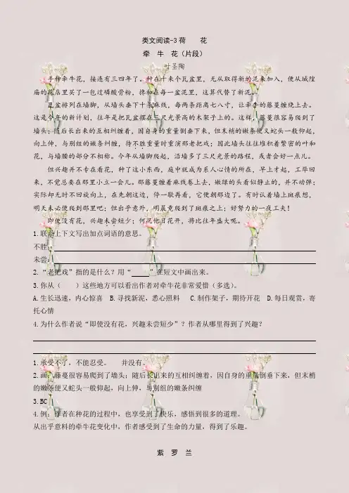 最新部编版三年级语文下册课时训练-3荷花(含答案)