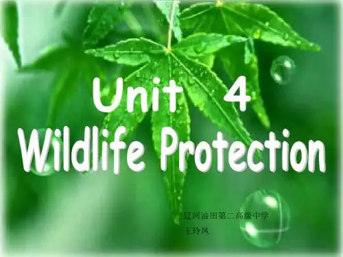 人教版必修2Unit4 Worldwild life