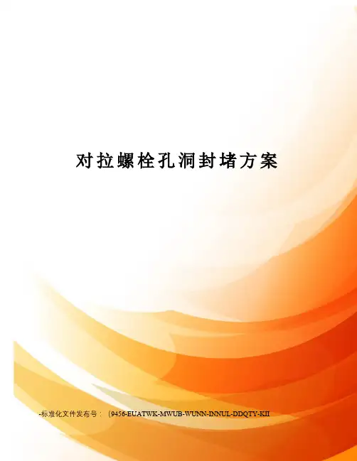 对拉螺栓孔洞封堵方案
