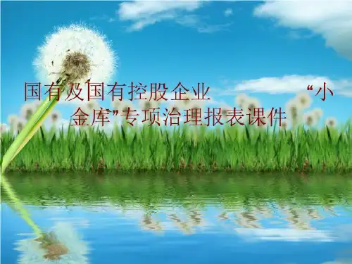 小金库培训课件