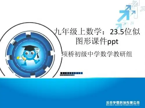 24.5位似图形