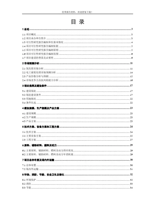 高温电工级氧化镁项目可行性研究报告