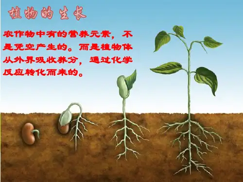 初中化学_化学与农业生产教学课件设计