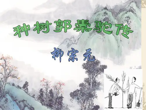 种树郭橐驼传--优秀课件