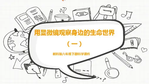 教科版六年级下册科学《用显微镜观察身边的生命世界(一)》 课件PPT模板
