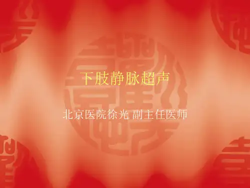 下肢静脉超声讲座