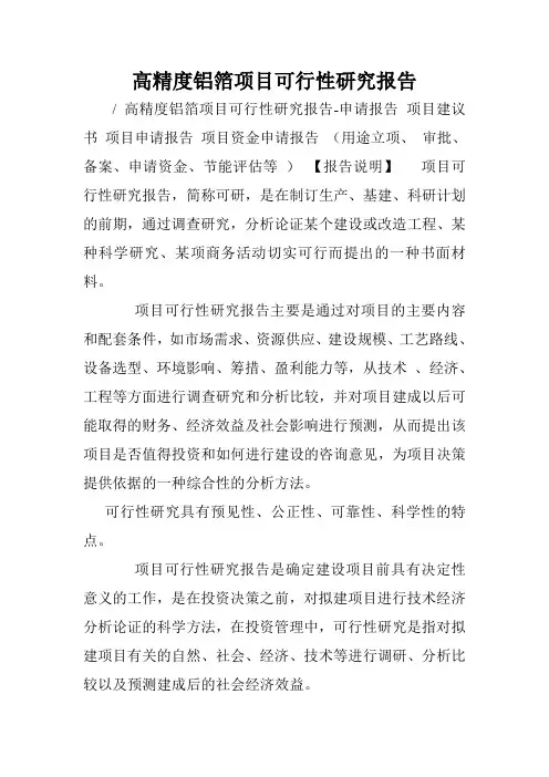 高精度铝箔项目可行性研究报告.doc