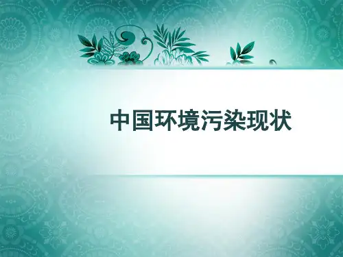 我国环境污染现状 PPT