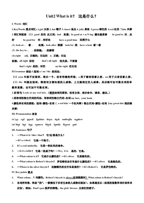 青少版新概念1A-Unit2教案1