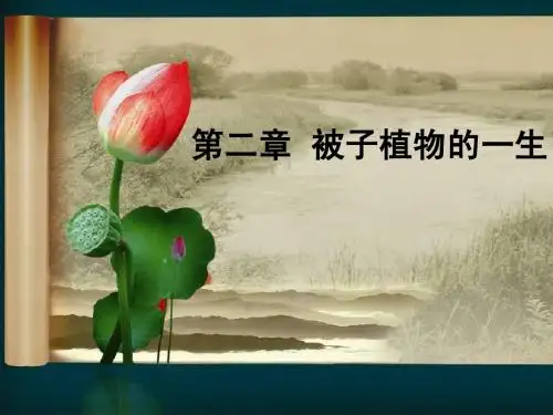第一节__种子萌发