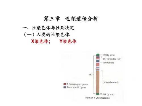第三章   连锁遗传分析