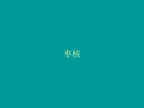 枣核预习