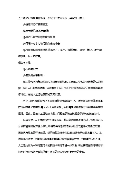 人工湿地的优缺点