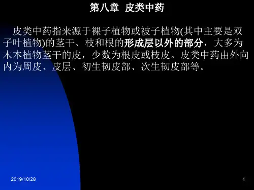 皮类中药-中药鉴定学-成人教育