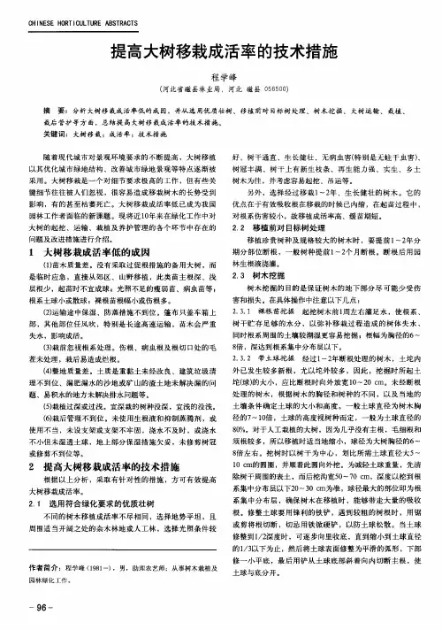 提高大树移栽成活率的技术措施