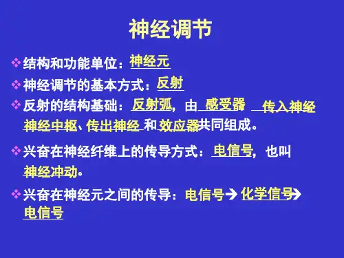 必修3第2章  第2节通过激素的调节(1) 高二生物课件教案 人教版