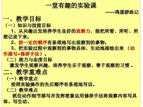 一次有趣的实验PPT课件