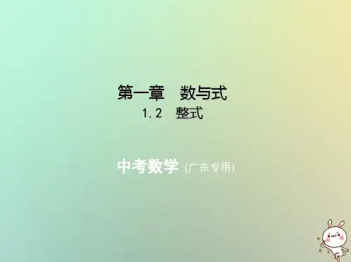 (广东专版)中考数学一轮复习 专题1 数与式 1.2 整式(试卷部分)