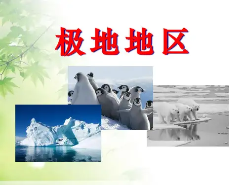 《极地地区》PPT课件六