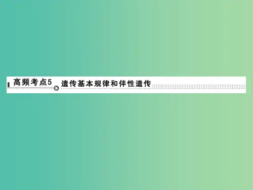高考生物二轮专题复习 体系通关1 高频考点5 遗传基本规律和伴性遗传课件