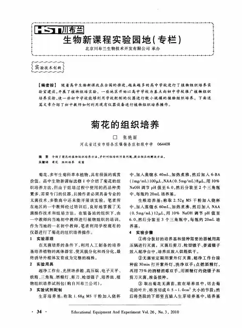 菊花的组织培养 2