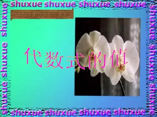 3.3 代数式的值-